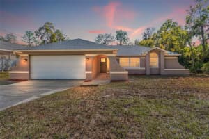 11348 FOOL DUCK AVENUE, WEEKI WACHEE, FL 34613 - MLS#MFRW7880213