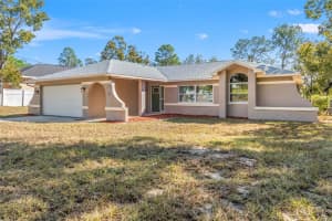 11348 FOOL DUCK AVENUE, WEEKI WACHEE, FL 34613 - MLS#MFRW7880213