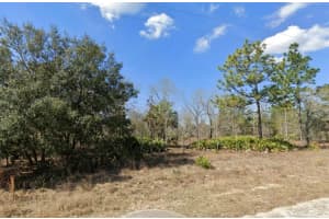 0 COURLAN ROAD, BROOKSVILLE, FL 34614 Sold 01/06/26