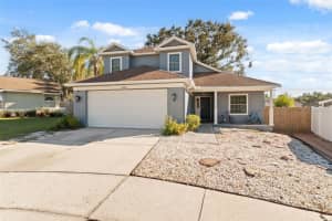 24138 Twin Ct, LAND O LAKES