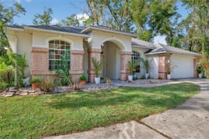 11031 NOTTINGHAM FOREST DRIVE, BROOKSVILLE, FL 34601 - MLS#MFRW7880334