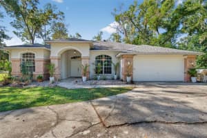 11031 NOTTINGHAM FOREST DRIVE, BROOKSVILLE, FL 34601 - MLS#MFRW7880334