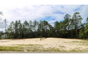 6412 EL DORADO LANE, BEVERLY HILLS, FL 34465 - MLS#MFRW7880364