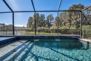 1831 HIDDEN SPRINGS DRIVE, TRINITY, FL 34655 - MLS#MFRW7880408