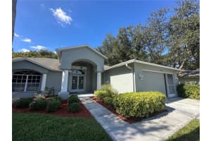 18523 QUEEN BROOKS COURT, HUDSON, FL 34667 - MLS#MFRW7880490