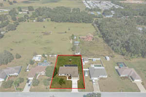 10248 DUSTY HILL LOOP, DADE CITY, FL 33525 - MLS#MFRW7880494