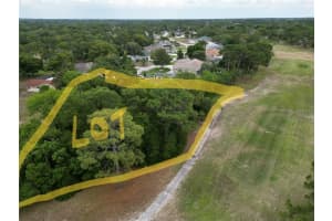 LORETTO ST, SPRING HILL, FL 34608 - MLS#MFRW7880510