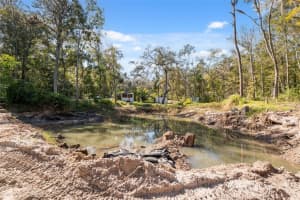 NEFF LAKE RD, BROOKSVILLE, FL 34601 - MLS#MFRW7880539