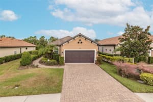 11599 CALLISIA DRIVE, ODESSA, FL 33556 - MLS#MFRW7880552