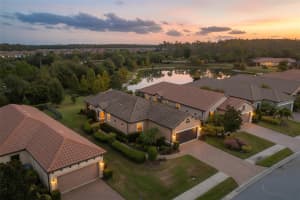 11599 CALLISIA DRIVE, ODESSA, FL 33556 - MLS#MFRW7880552