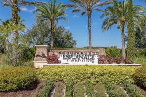 11599 CALLISIA DRIVE, ODESSA, FL 33556 - MLS#MFRW7880552