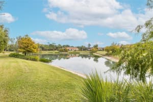 11599 CALLISIA DRIVE, ODESSA, FL 33556 - MLS#MFRW7880552