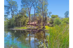 8011 MOBLEY ROAD, ODESSA, FL 33556 - MLS#MFRW7880556