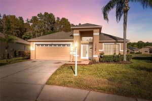 1201 DUSTAN PLACE, TRINITY, FL 34655 - MLS#MFRW7880565