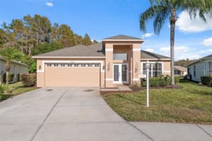 1201 DUSTAN PLACE, TRINITY, FL 34655 - MLS#MFRW7880565