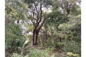 1826 44TH PLACE, BUSHNELL, FL 33513 - MLS#MFRW7880602