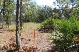 5784 DURANGO TERRACE, BEVERLY HILLS, FL 34465 - MLS#MFRW7880605