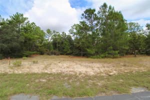 5873 CONESTOGA STREET, BEVERLY HILLS, FL 34465 - MLS#MFRW7880606