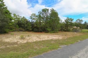 5873 CONESTOGA STREET, BEVERLY HILLS, FL 34465 - MLS#MFRW7880606