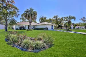 11249 RIDDLE DRIVE, SPRING HILL, FL 34609 - MLS#MFRW7880630