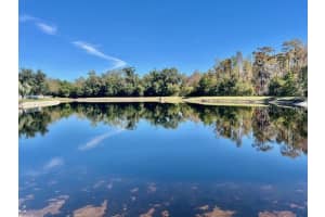 8606 REEDVILLE STREET, NEW PORT RICHEY, FL 34654 - MLS#MFRW7880682