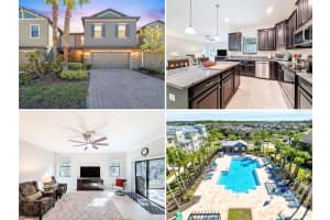 28520 TRANQUIL LAKE CIRCLE, WESLEY CHAPEL, FL 33543 - MLS#MFRW7880686