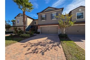 28520 TRANQUIL LAKE CIRCLE, WESLEY CHAPEL, FL 33543 - MLS#MFRW7880686