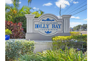 2577 DOLLY BAY DRIVE, PALM HARBOR, FL 34684 - MLS#MFRW7880715