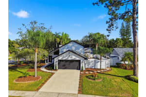 15307 WINTERWIND DRIVE, TAMPA, FL 33624 - MLS#MFRW7880722