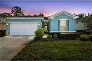 11150 Paradise Point Way, NEW PORT RICHEY