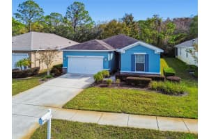 11150 PARADISE POINT WAY, NEW PORT RICHEY, FL 34654 - MLS#MFRW7880835