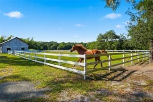 14315 FAMILY TRAIL, HUDSON, FL 34669 - MLS#MFRW7880839