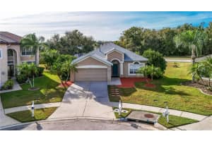 27211 Liriope Ct, WESLEY CHAPEL