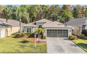 1143 DUSTAN PLACE, TRINITY, FL 34655 - MLS#MFRW7880858
