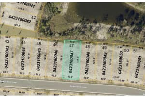 20021 GOLDEN GLOW LOOP, VENICE, FL 34292 - MLS#MFRW7880870