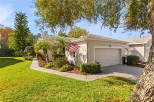 7247 CLEOPATRA DRIVE, LAND O LAKES, FL 34637 - MLS#MFRW7880878