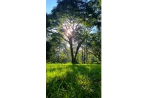 5043 GOODWIN ROAD, BROOKSVILLE, FL 34601 - MLS#MFRW7880904