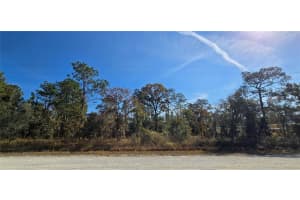 16392 CURLEW ROAD, BROOKSVILLE, FL 34614 - MLS#MFRW7880917