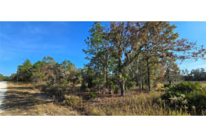 16392 CURLEW ROAD, BROOKSVILLE, FL 34614 - MLS#MFRW7880917