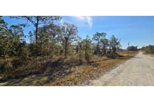 16392 CURLEW ROAD, BROOKSVILLE, FL 34614 - MLS#MFRW7880917