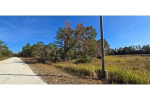 16392 CURLEW ROAD, BROOKSVILLE, FL 34614 - MLS#MFRW7880917