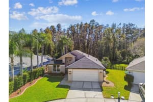29228 Birds Eye Dr, WESLEY CHAPEL 29228 Birds Eye Dr, WESLEY CHAPEL