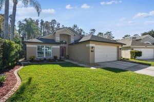 29228 BIRDS EYE DRIVE, WESLEY CHAPEL, FL 33543 - MLS#MFRW7880925