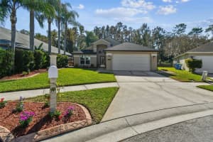 29228 BIRDS EYE DRIVE, WESLEY CHAPEL, FL 33543 - MLS#MFRW7880925
