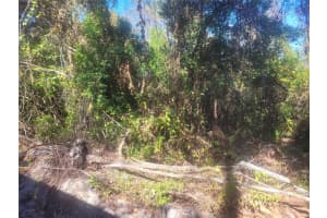 ADLER STREET, NEW PORT RICHEY, FL 34654 Sold 01/15/26