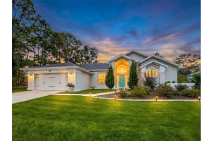 11 Maidenbush Ct E, HOMOSASSA