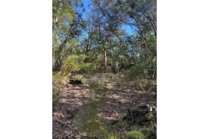 7740 SMOKE TRAIL, INVERNESS, FL 34453 - MLS#MFRW7881004