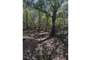 7740 SMOKE TRAIL, INVERNESS, FL 34453 - MLS#MFRW7881004