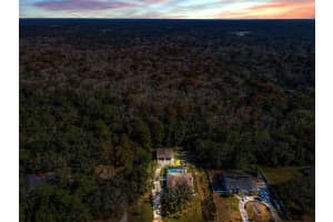 10639 LAKEVIEW DRIVE, NEW PORT RICHEY, FL 34654 - MLS#MFRW7881039