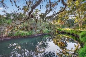 6345 LOST TRAIL, HOLIDAY, FL 34690 - MLS#MFRW7881056